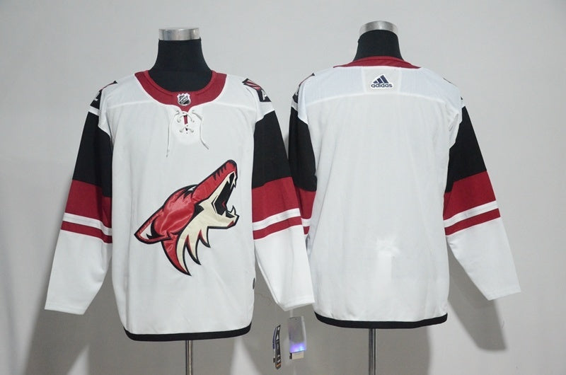 Arizona Coyotes blank