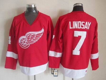 Detroit Red Wings Red Wings Style 12
