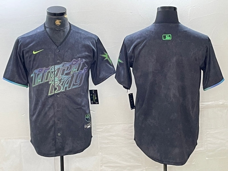 Tampa Bay Rays Rays City Style 6