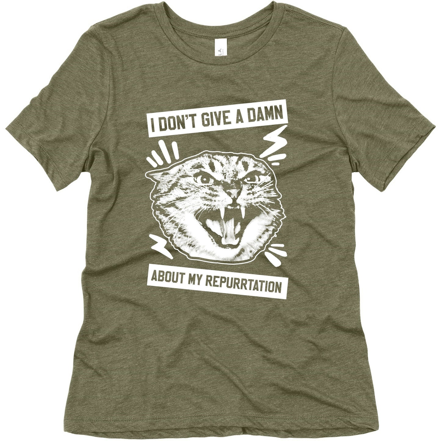 I Don't Give A Damn About My Repurrtation Women's Triblend Tee