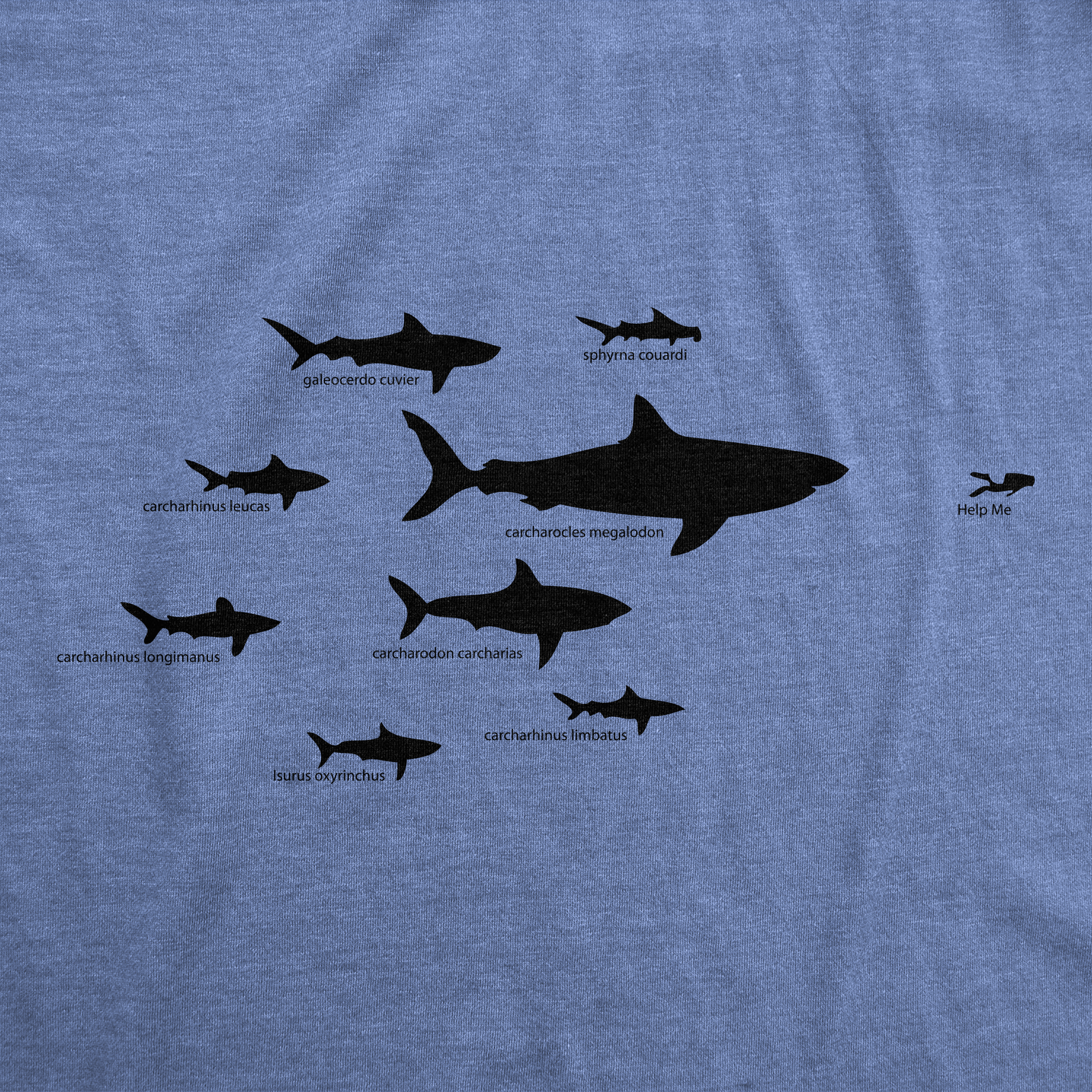 Shark Hierarchy Women's T Shirt Hoodie, Sweatshirt | WearSparks.com (Image 2)