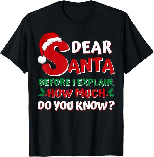 100% Cotton 2024 Funny Christmas Shirts Adults Santa I Can Explain T-Shirt Hoodie, Sweatshirt | WearSparks.com