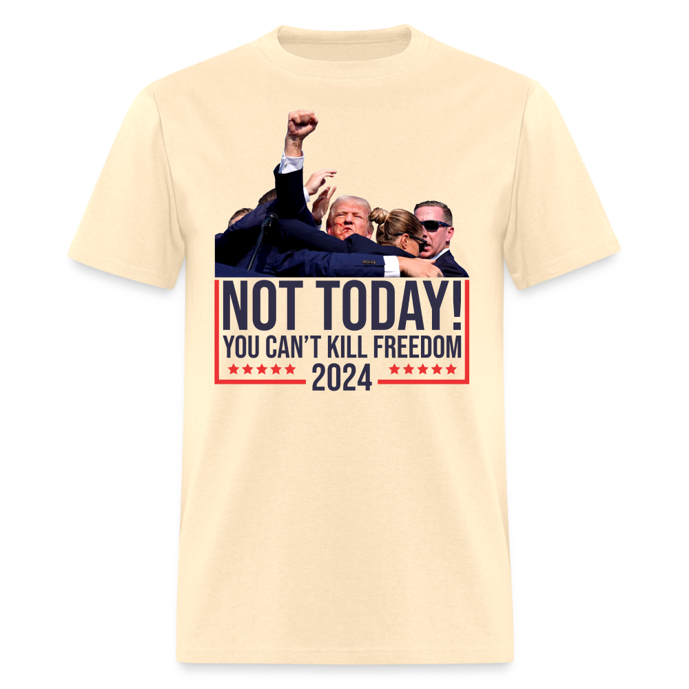 Not Today You Can't Kill Freedom T Shirt Hoodie, Sweatshirt | WearSparks.com (Image 3)