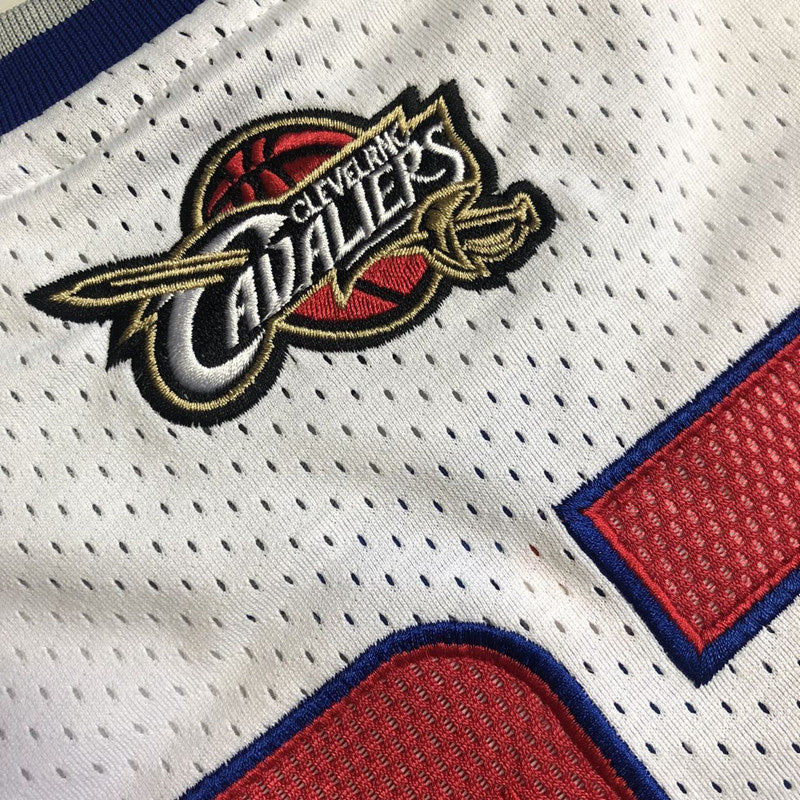 #23 James 2006 All stars game authentic jersey (XS-XXL) Style 2