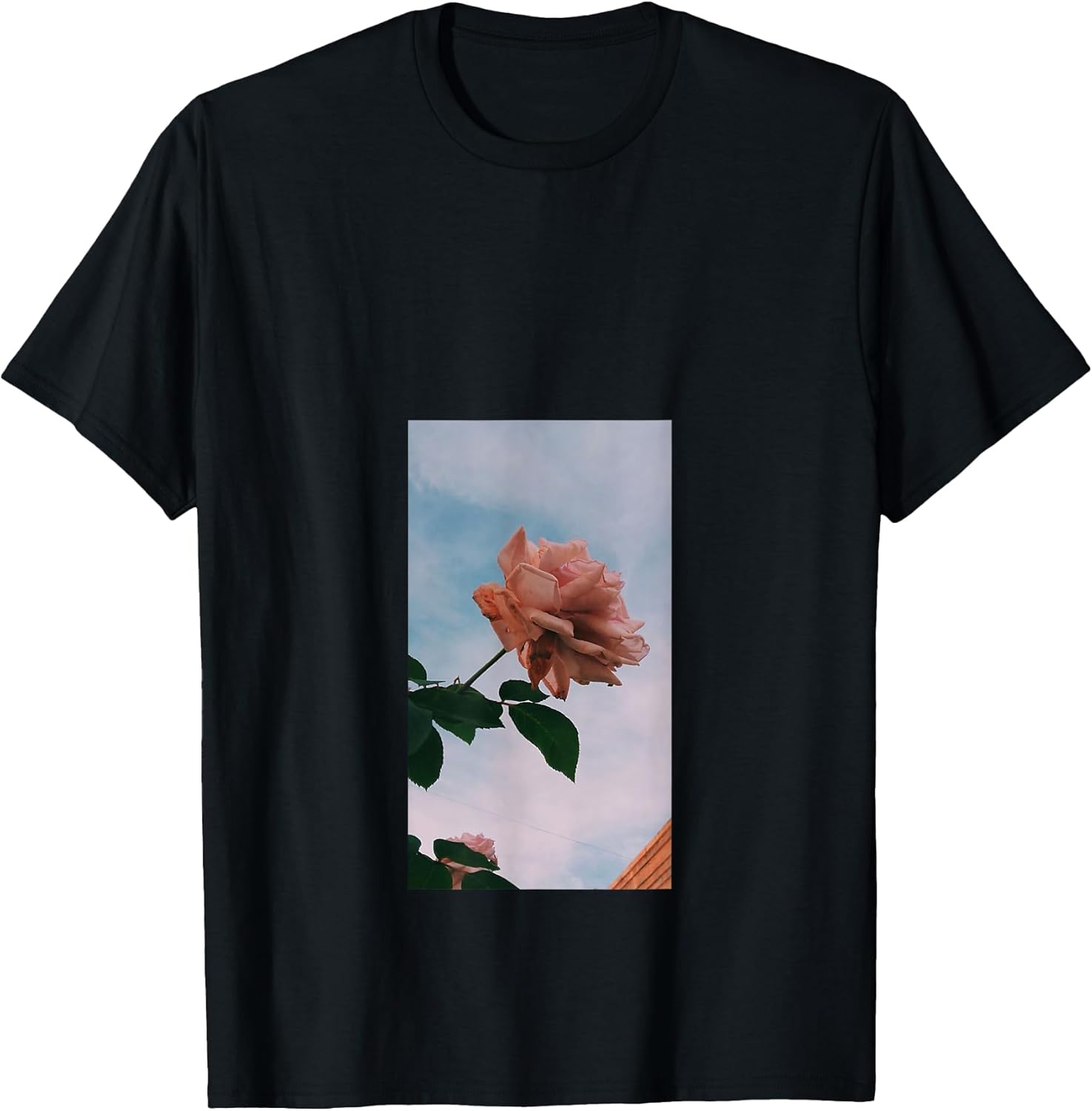 Roses Flowers rose minimalist flower aesthetic