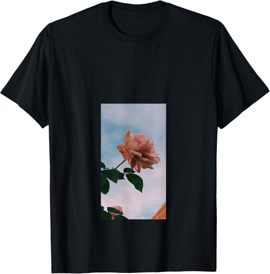 Roses Flowers rose minimalist flower aesthetic