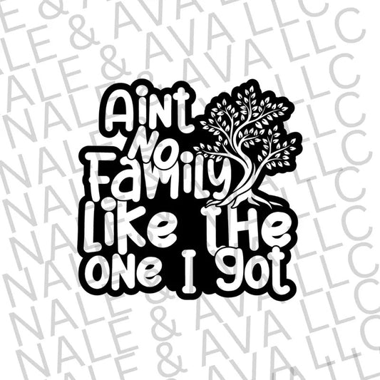 Ain't No Family Like The One I Got Screen Print Transfer T-Shirts, Hoodie, Sweatshirt | WearSparks.com