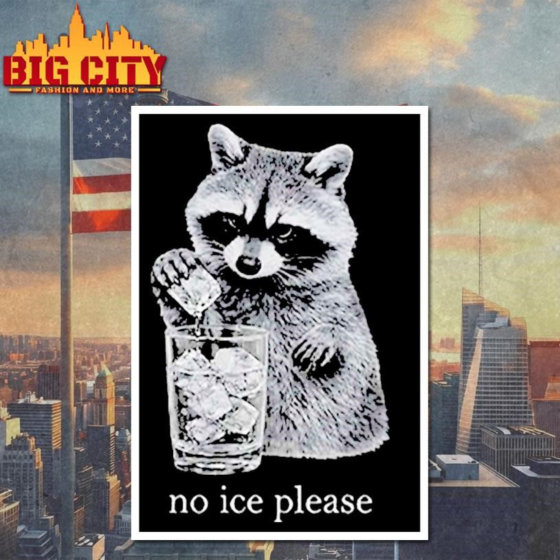 Anti ICE No Ice Please Shirt