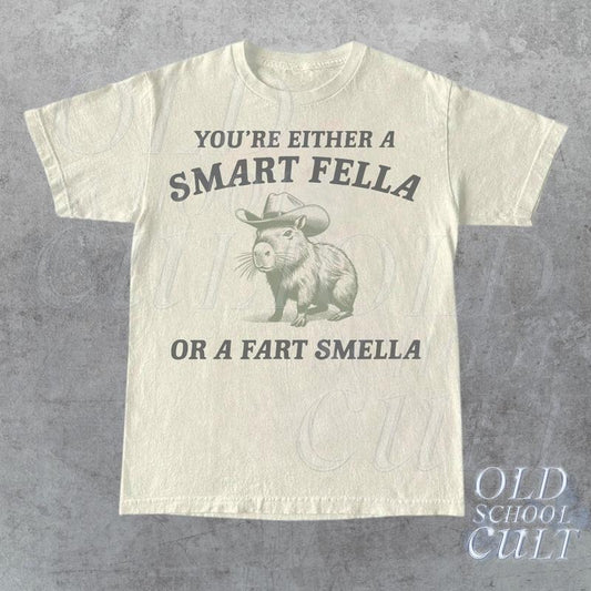 Are You A Smart Fella Or Fart Smella Vintage Style Shirt, Retro Cartoon T Shirt, Weird T Shirt, Meme T Shirt, Cabybara...