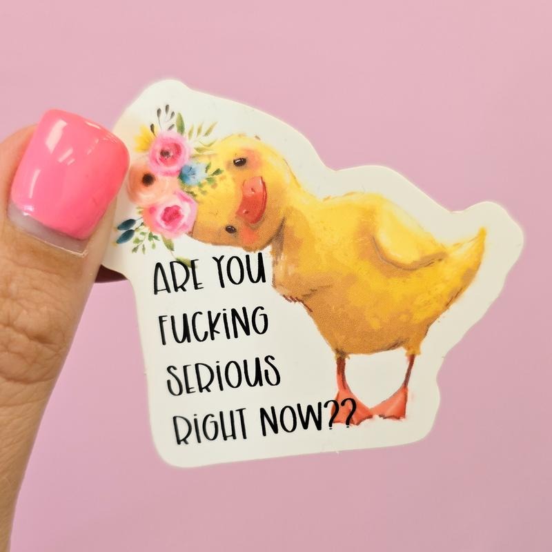 Are You Serious Right Now? Cute Duck Sticker T-Shirts, Hoodie, Sweatshirt | WearSparks.com