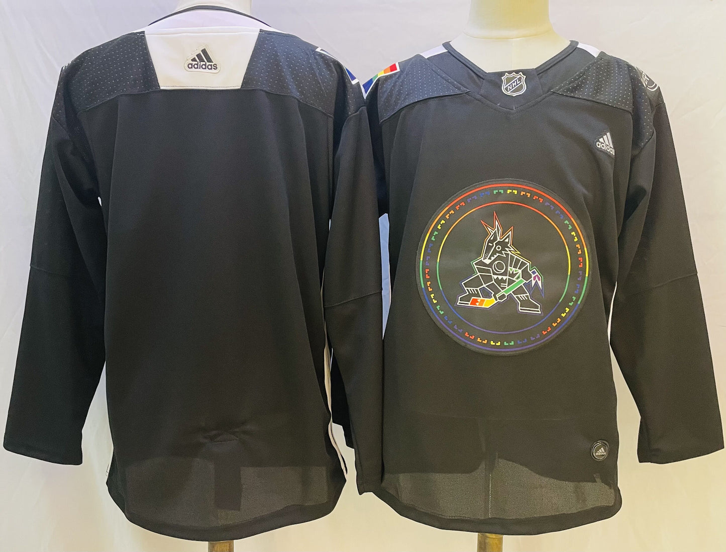 Arizona Coyotes 2022