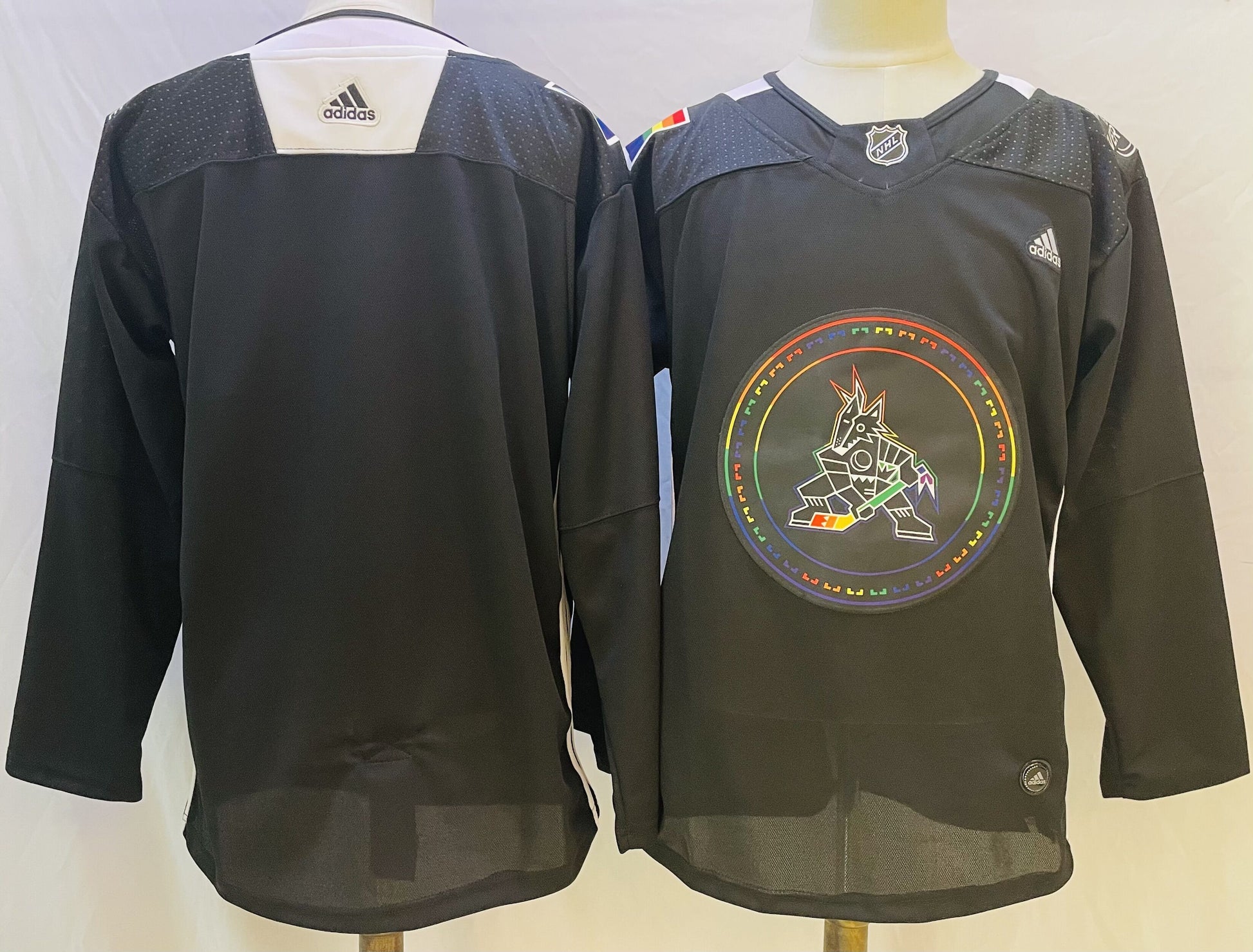 Arizona Coyotes 2022