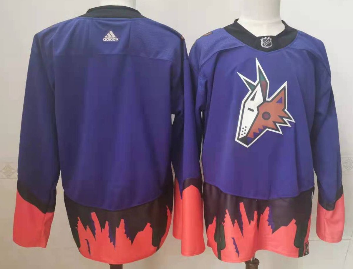 Arizona Coyotes Style 3