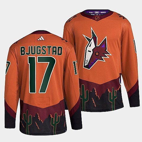 Arizona Coyotes #17 nick-bjugstad-orange-2022reverse-retro-2.0-authentic-primegreen-jersey