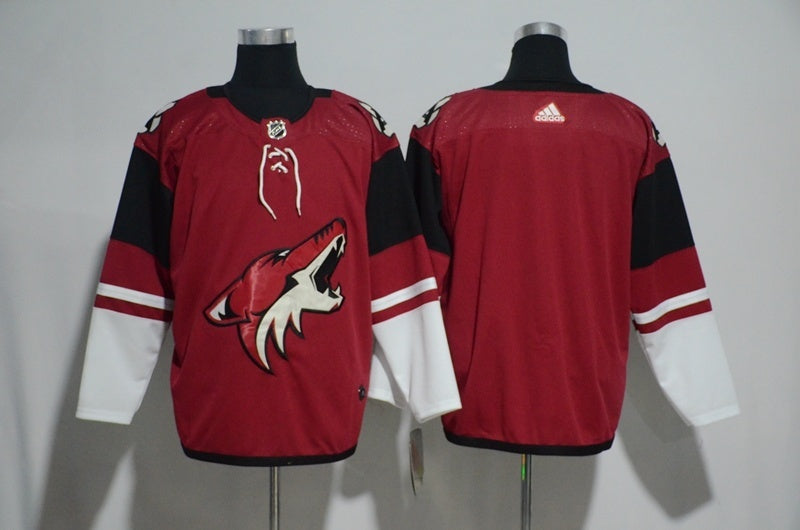 Arizona Coyotes blank red