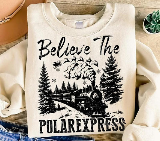 Believe The Polar Express Sweater, North Pole Christmas Tee Shirt, Polar Express Christmas Sweatshirt, Vintage Christmas...