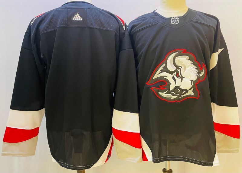 Buffalo Sabres Style 4