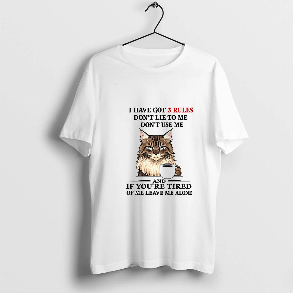 Cat I Have Got 3 Rules Dont Lie To Me Dont Use Me And If