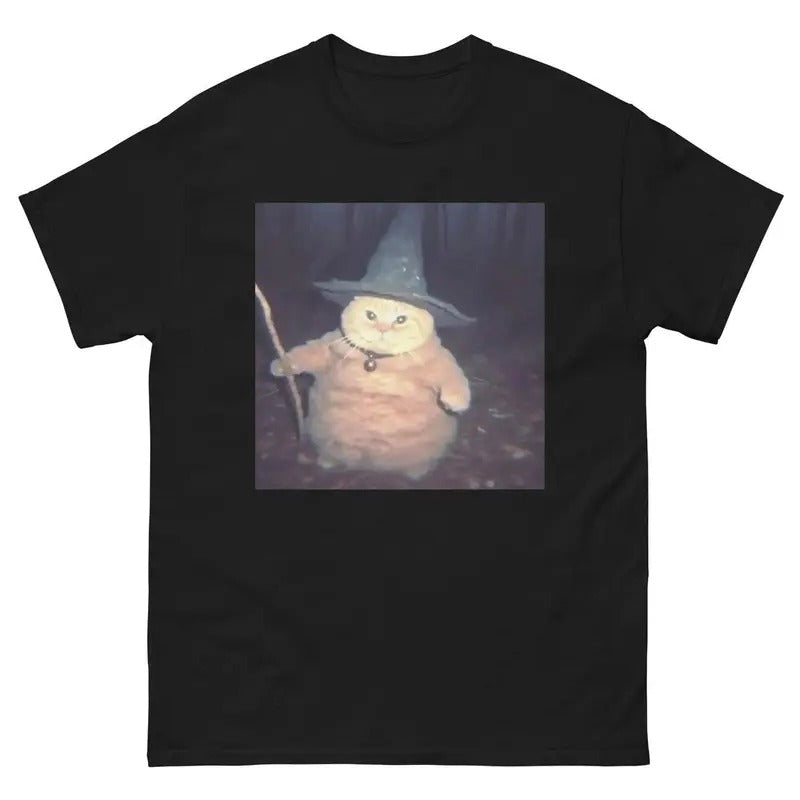 Cheeseball the Wizard Cat T-Shirt, Funny Quote Shirt, Sarcasm Shirt, Trendy Shirt Hoodie, Sweatshirt | WearSparks.com
