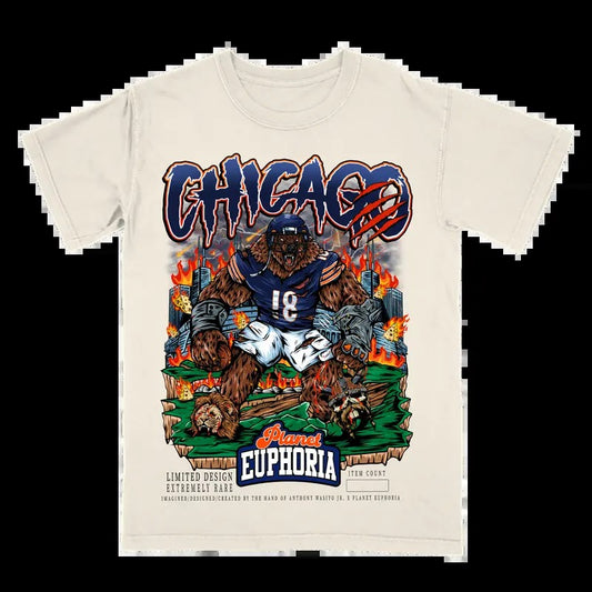 Chicago Football Tee - Gift For Fan - Men's Casual T-shirt - Menswear Hoodie, Sweatshirt | WearSparks.com