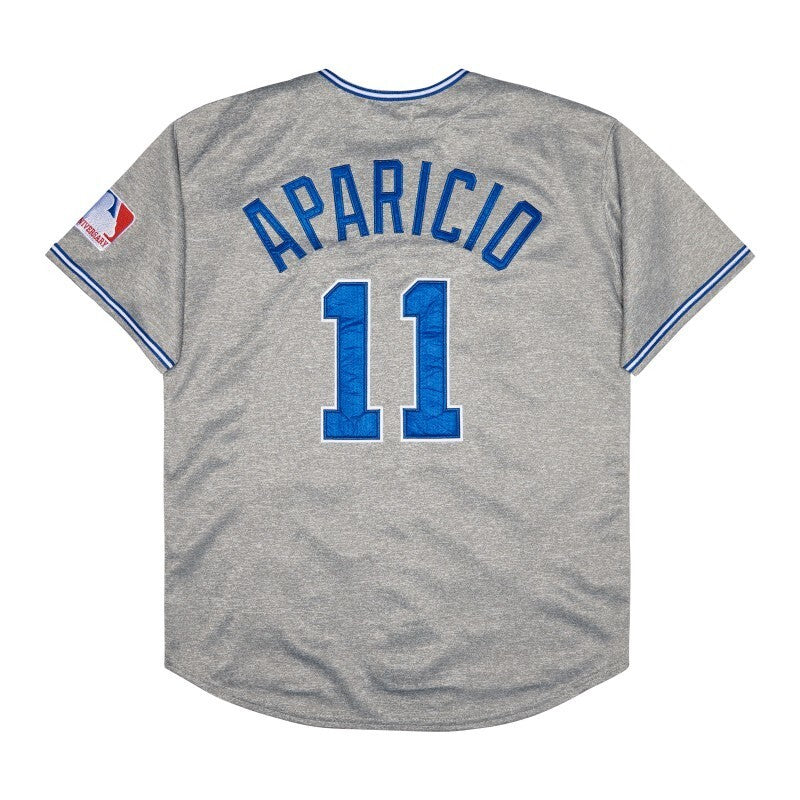 Chicago White Sox #11 APARICID Style 1