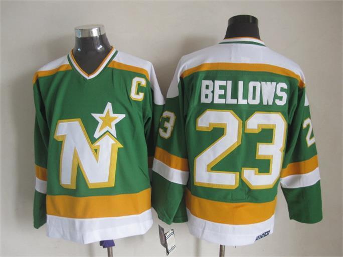Dallas Stars Dallas Style 17