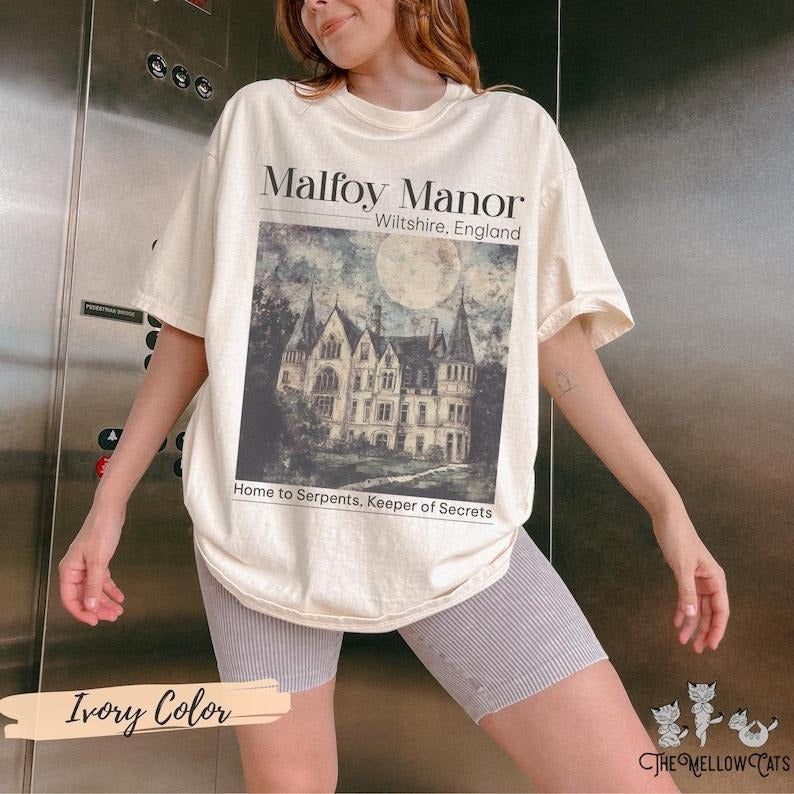 Dramione era Manacled merch Fanfiction s shirt Booktok Bookish merch, Wizard world tee, Dark Academia clothing gift for...