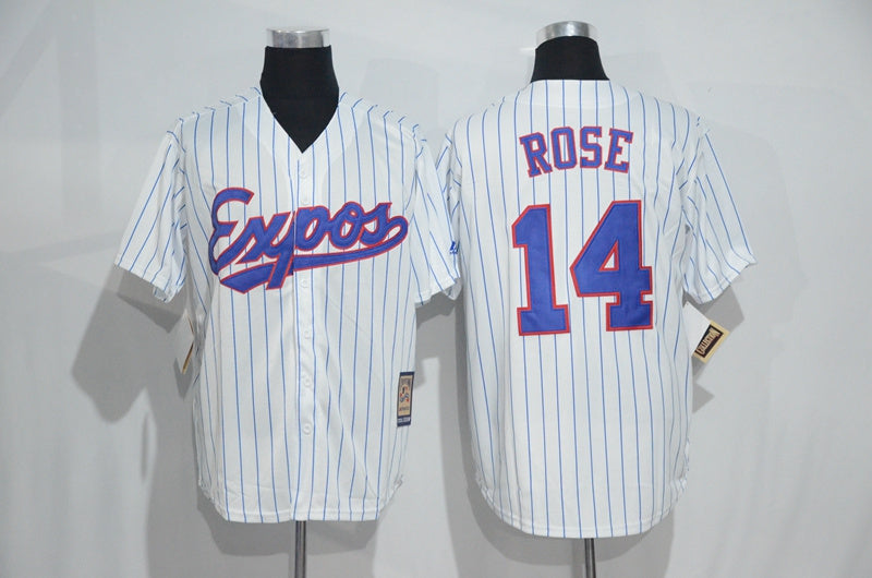 Expos 14 Style 3