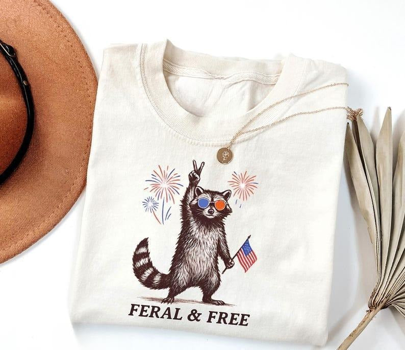 Feral But Free Raccoon Shirt, Funny 4th of July Tee, Patriotic Raccoon Shirt, Independence Day Outfit Hoodie, Sweatshirt