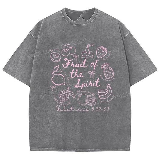 Fruit Of The Spirit Unixes Washed T-Shirt, Christian Jesus  t shirts, Vintage 90s Graphic Tee Gift Cotton Top, Mineral...