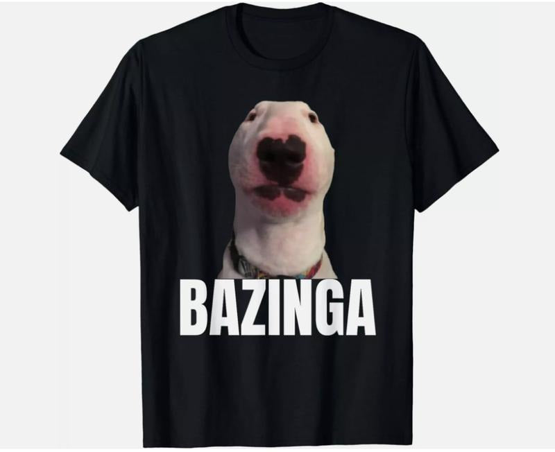 Funny Meme Dog GenZ Teenager Slang Gift Unisex T-Shirt  Top Womenswear Tshirt Streetwear Hoodie, Sweatshirt | WearSparks.com