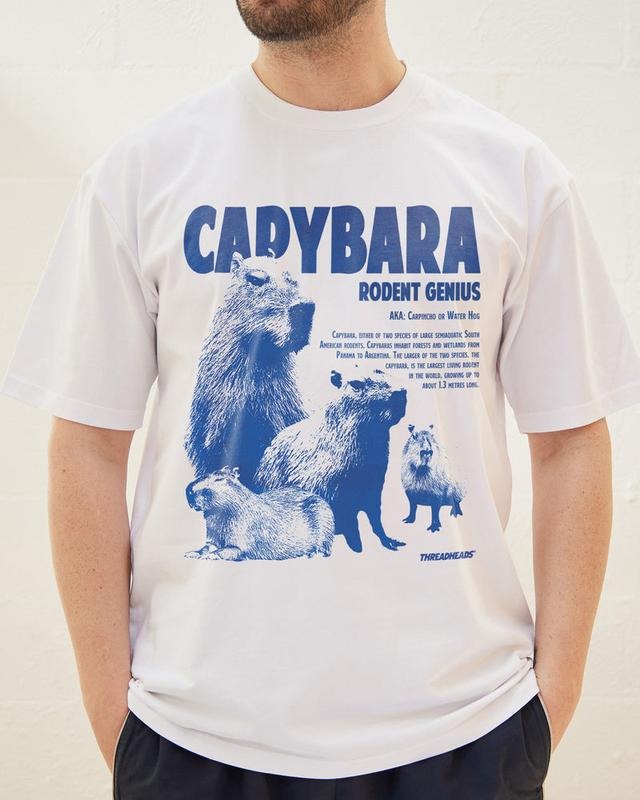 Funny Meme Shirt, CAPYBARA RODENT Tee, Gift Unisex T-Shirt Hoodie, Sweatshirt | WearSparks.com