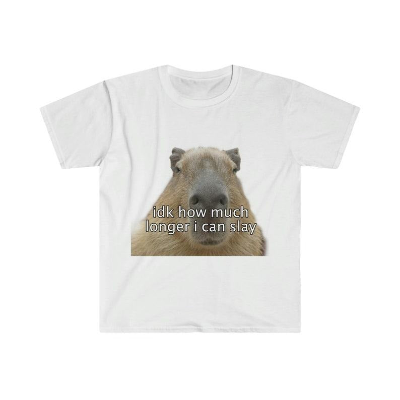 Funny Meme Shirt, Capybara "idk how much longer i can slay" Tee, Gift Unisex T-Shirt Hoodie, Sweatshirt | WearSparks.com