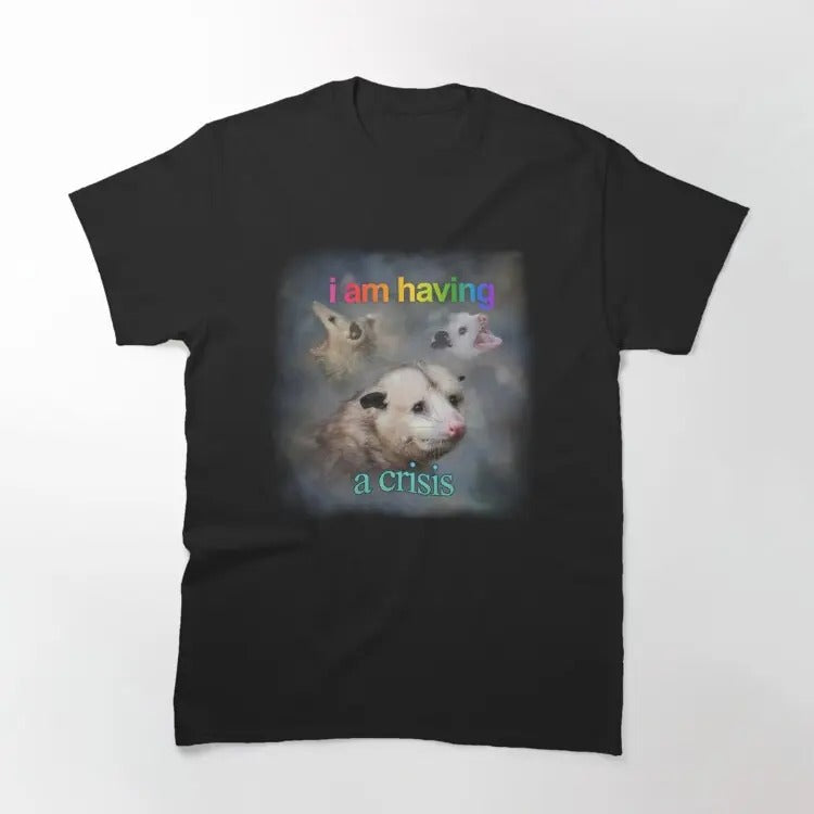 Funny Meme Shirt, I am having a crisis possum word art Classic T-Shirt Casual Fabric Hoodie, Sweatshirt | WearSparks.com