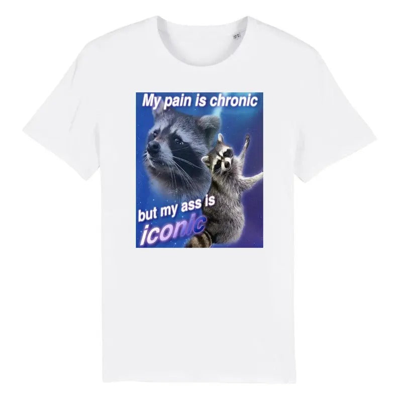 Funny Meme Shirt, My Pain Is Chronic But My A*s Is Iconic Tee, Gift Unisex T-Shirt Hoodie, Sweatshirt | WearSparks.com