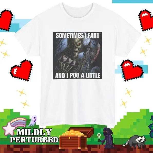 Funny Meme Shirt, Sometimes I Fart And I Poo Little Tee, Gift Unisex T-Shirt Hoodie, Sweatshirt | WearSparks.com