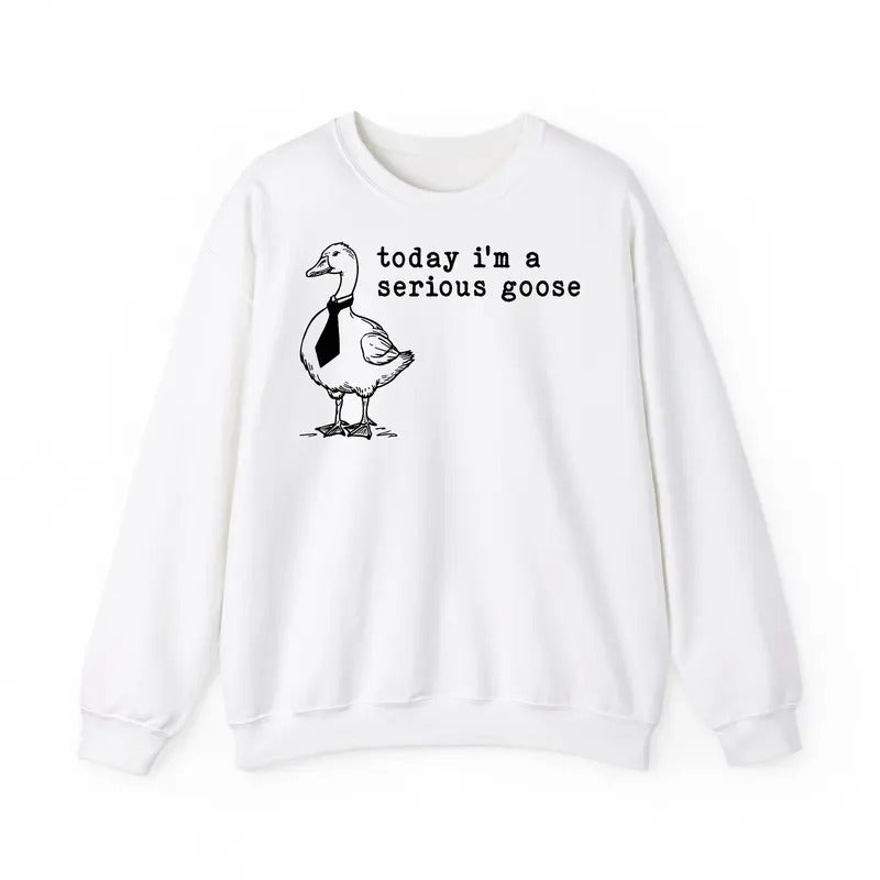 Funny Meme Shirt, Today I'm A Serious Goose Sweatshirt, Funny Silly Graphic Sweatshirt, Cute Goose Lover Gifts Hoodie
