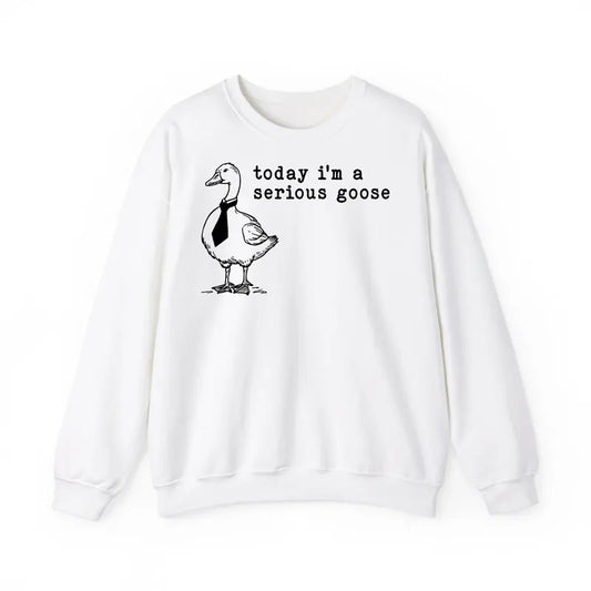Funny Meme Shirt, Today I'm A Serious Goose Sweatshirt, Funny Silly Graphic Sweatshirt, Cute Goose Lover Gifts Hoodie