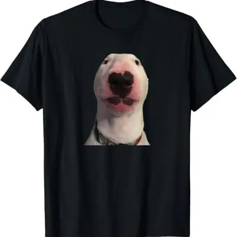 Funny Meme Shirt, Walter dog Tee, Gift Unisex T-Shirt Hoodie, Sweatshirt | WearSparks.com