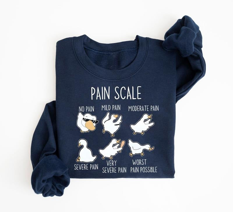 Funny Pain Scale Goose Sweatshirt, Emergency Room Nurse Physical Therapy Crewneck, Doctors Appointment Registered Nurse...