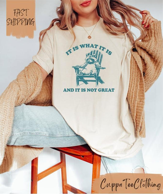 It Is What It Is And It Is Not Great Shirt / Funny Raccoon Shirt / Meme Shirt / Y2k Shirt / Retro Meme Shirt / Funny...