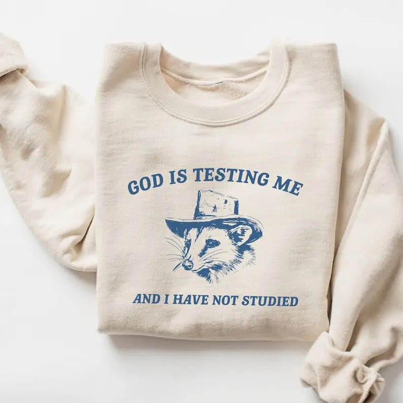 God Is Testing Me and I Have Not Studied Sweatshirt T-Shirts, Hoodie | WearSparks.com