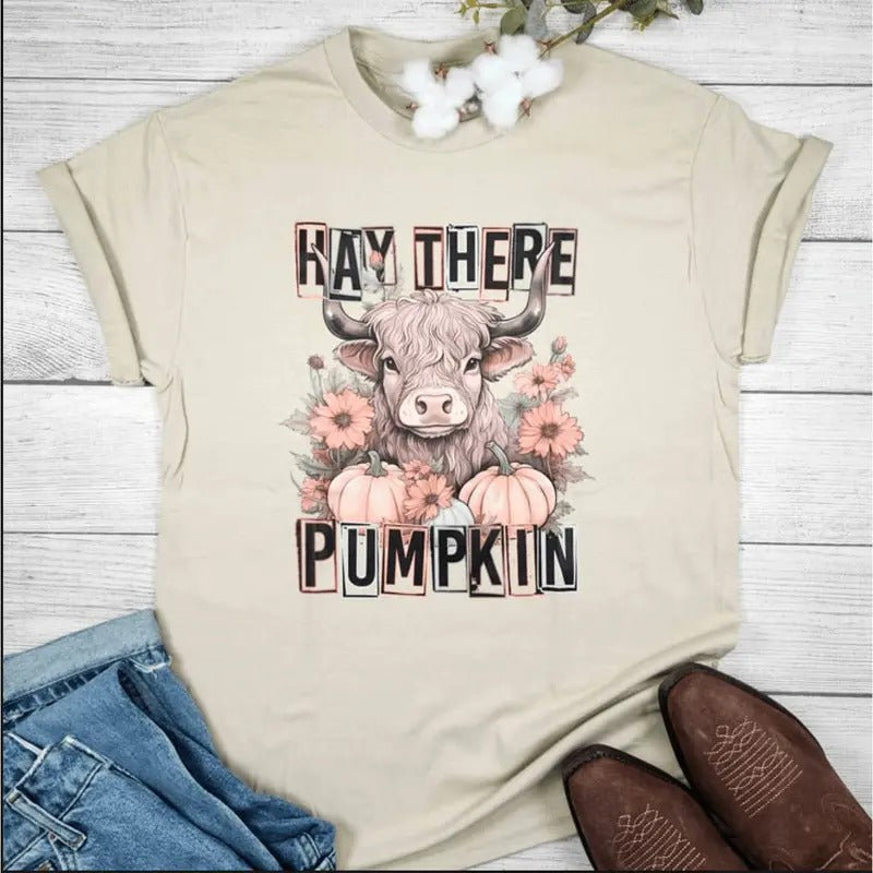 Hay There Pumpkin Graphic Tee Hoodie, Sweatshirt | WearSparks.com