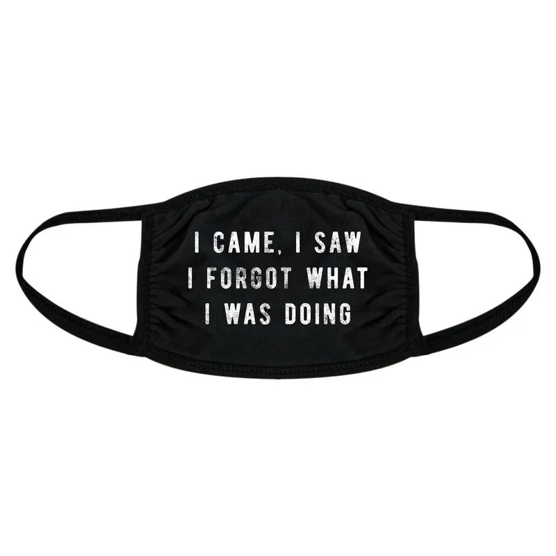 I Came I Saw I Forgot What I Was Doing Face Mask Funny Introvert Nose And Mouth Covering Funny Masks for Adults Funny...