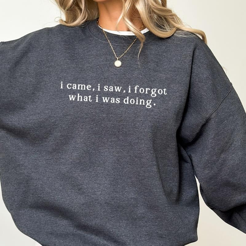 I Came I Saw I Forgot What I Was Doing Sweatshirt, Meme Long Sleeves Pullover, Sarcastic Women Gifts, Humorous Outfit,...