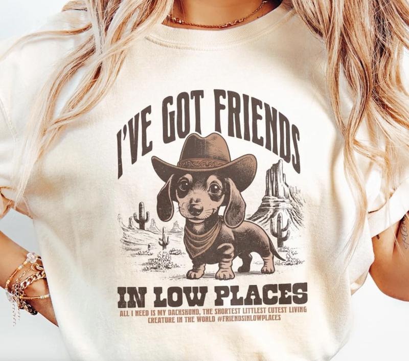 I've Got Friends in Low Places Shirt ~ Unisex Apparel Relaxed Fit Printed In The USA Clothing Womenswear Casual Comfort...
