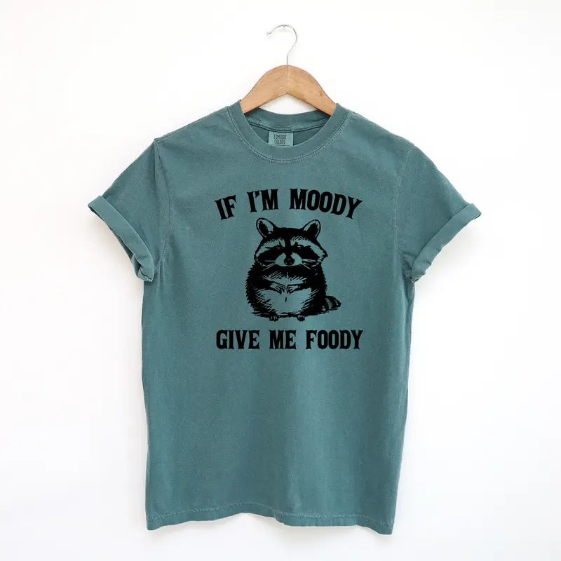 If I'm Moody Give Me Foody Funny Shirt, Funny Raccoon Comfort Colors Shirt Hoodie, Sweatshirt | WearSparks.com