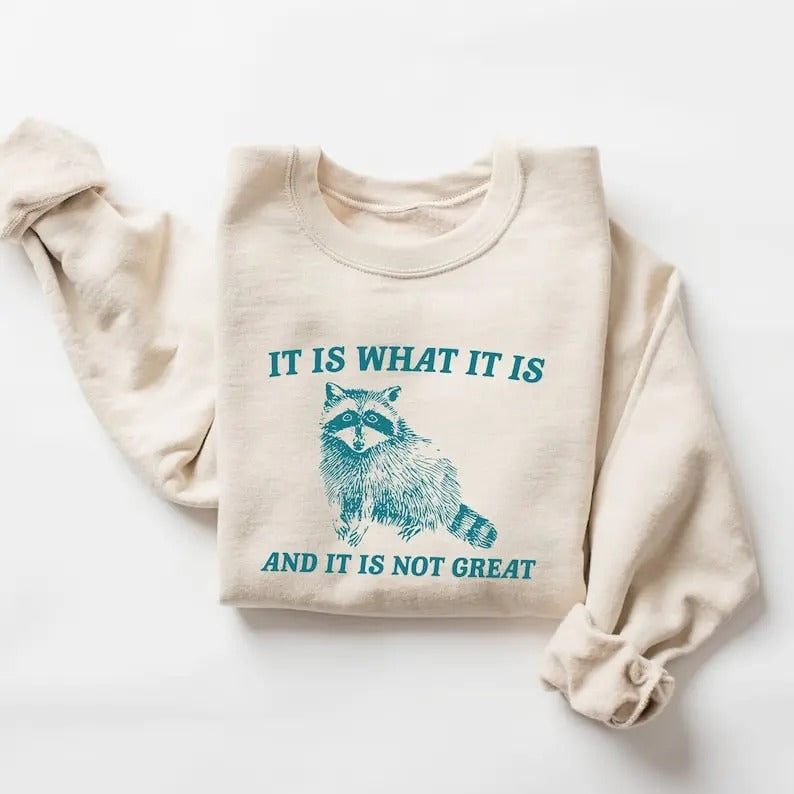 It Is What It Is And It Is Not Great Sweatshirt T-Shirts, Hoodie | WearSparks.com
