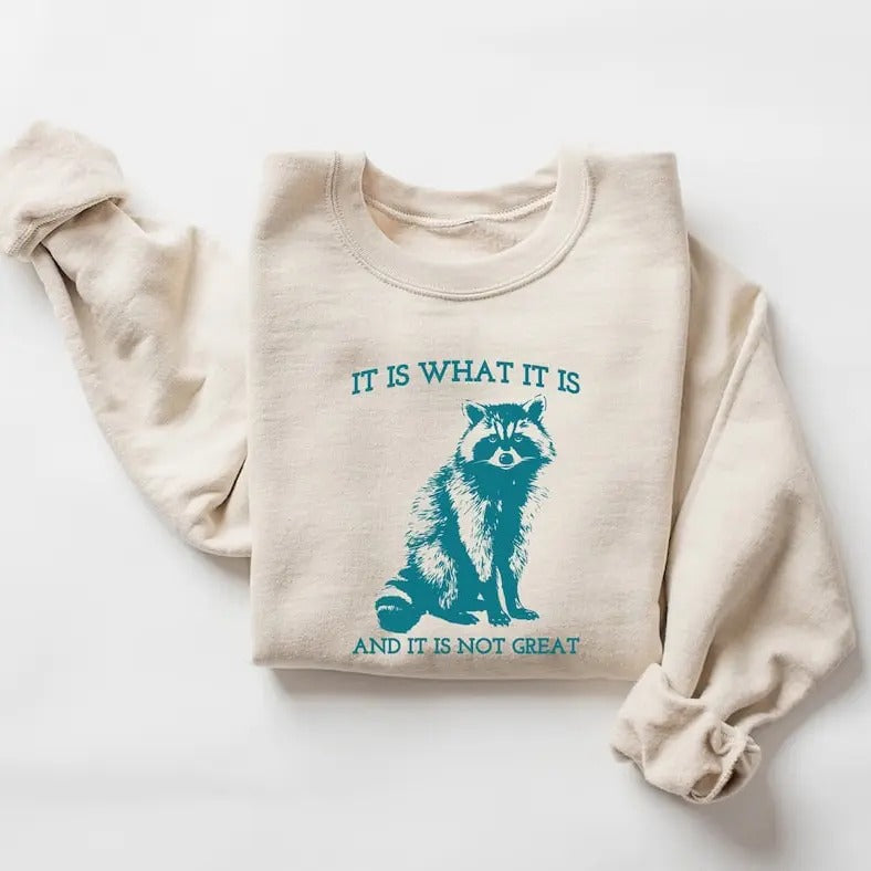 It Is What It Is And It Is Not Great Sweatshirt, Vintage Sweatshirt, Raccoon Sweatshirt, Mental Health Sweatshirt, Funny...
