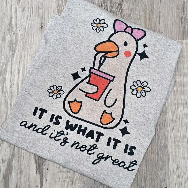 It is what it is and it's not great  Graphic Tee or Sweatshirt Hoodie | WearSparks.com